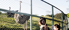 動物園見学写真