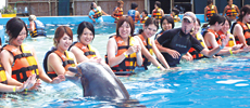 ハワイ留学プログラム写真