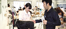 各種ライセンス試験写真