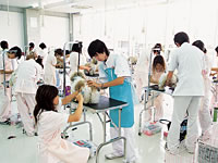グルーミング実習室写真