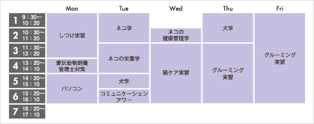 キャットプロコース時間割