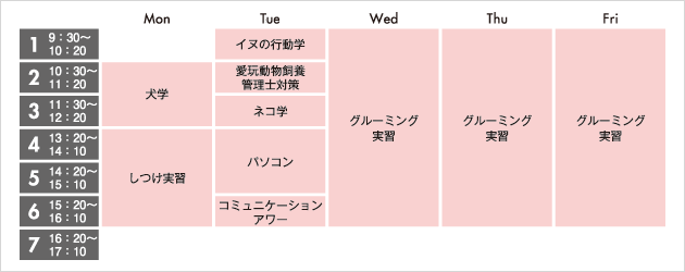 プロトリマーコース時間割