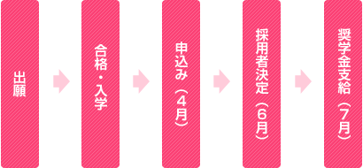 定期採用の流れ図