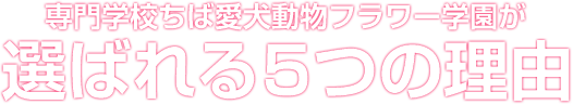 専門学校ちば愛犬動物フラワー学園が選ばれる５つの理由