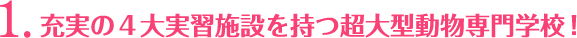 1.充実の４大実習施設を持つ超大型動物専門学校！