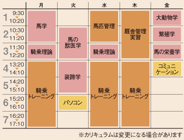 カリキュラム