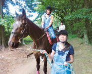 学校馬と専用馬場・厩舎での実践授業