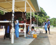 学校馬と専用馬場・厩舎での実践授業