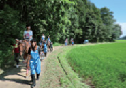 学校馬と専用馬場・厩舎での実践授業