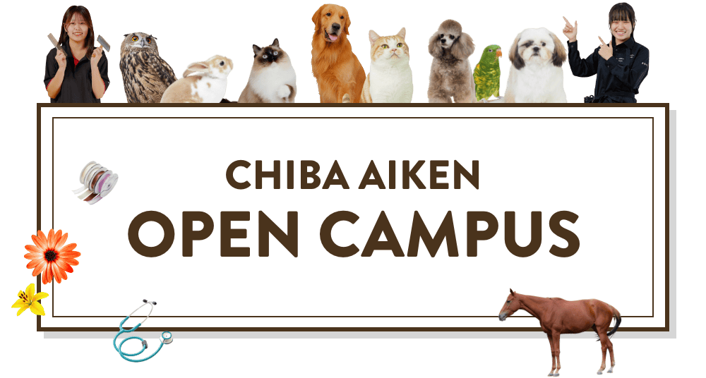 ちば愛犬オープンキャンパス