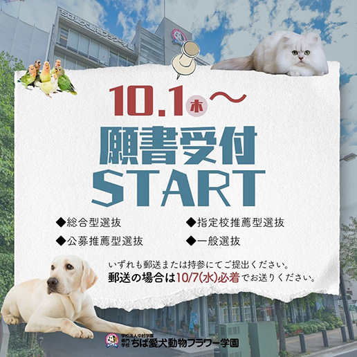 10/1〜願書受付スタート