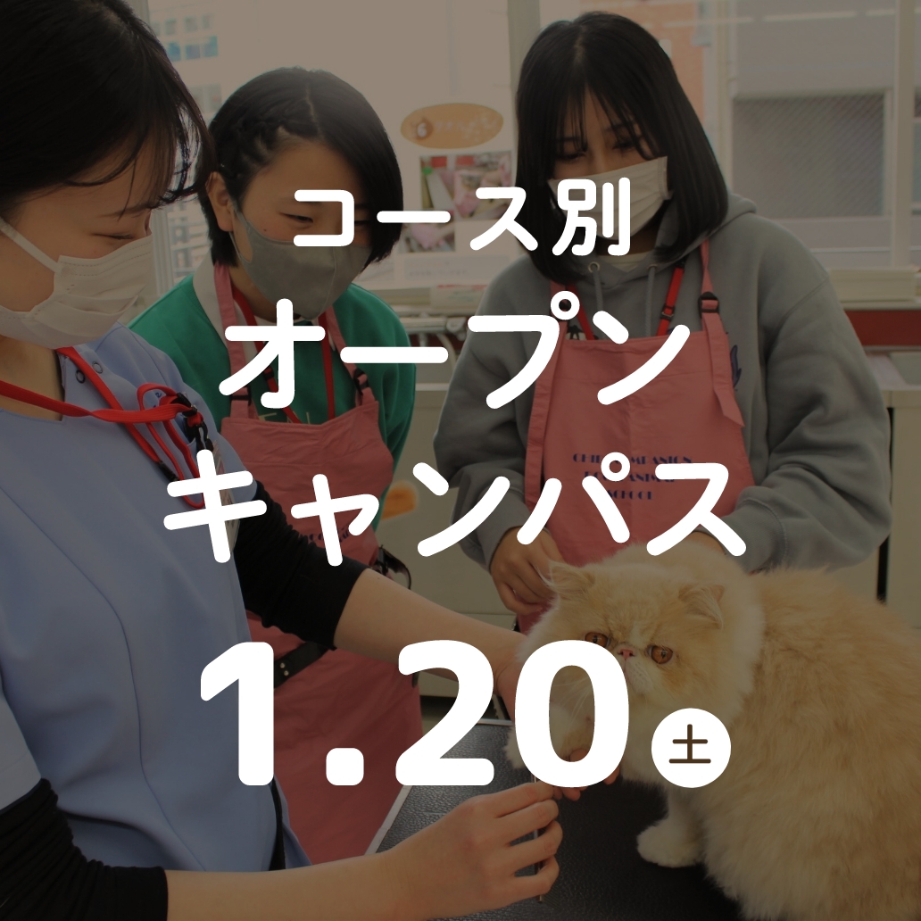 オープンキャンパス ~クリスマススペシャル★~ 12.16(土)
