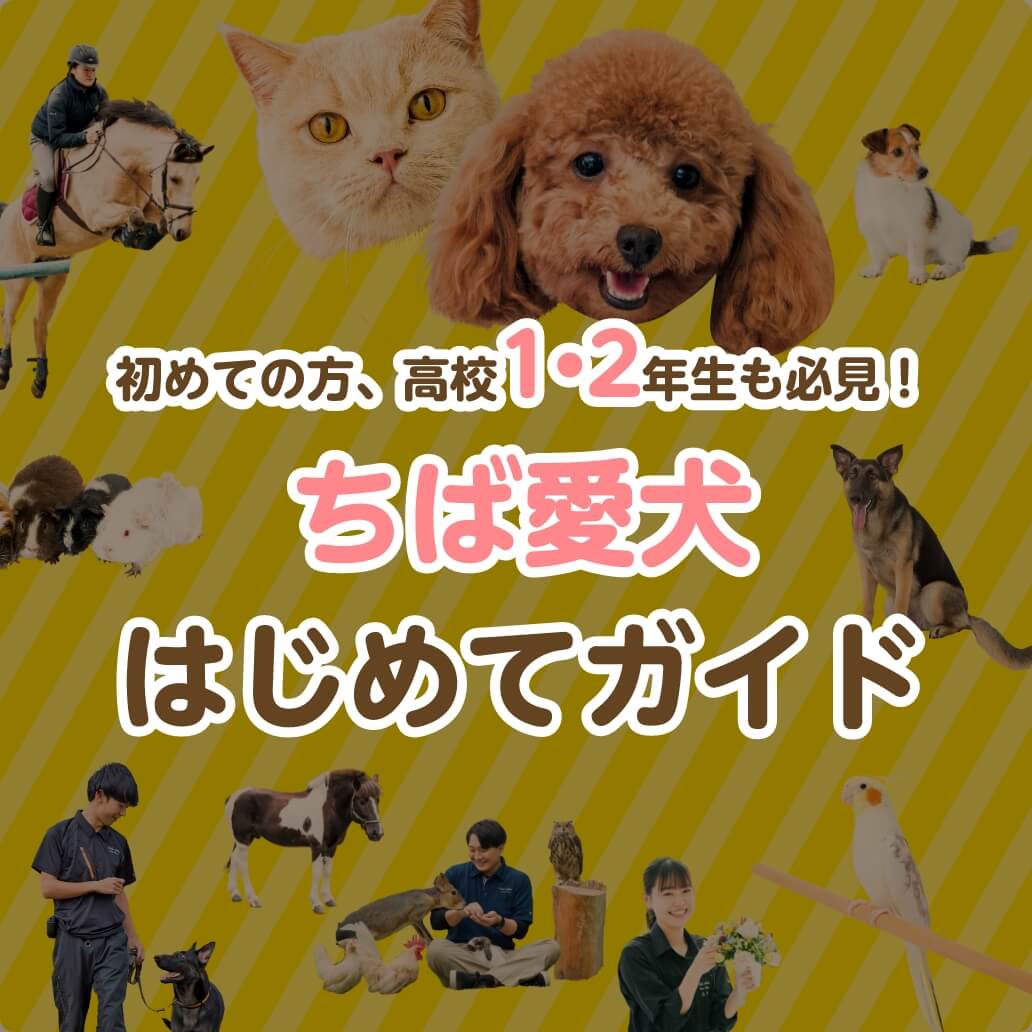 ちば愛犬 はじめてガイド