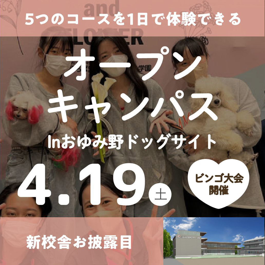 オープンキャンパス In おゆみ野ドッグサイト