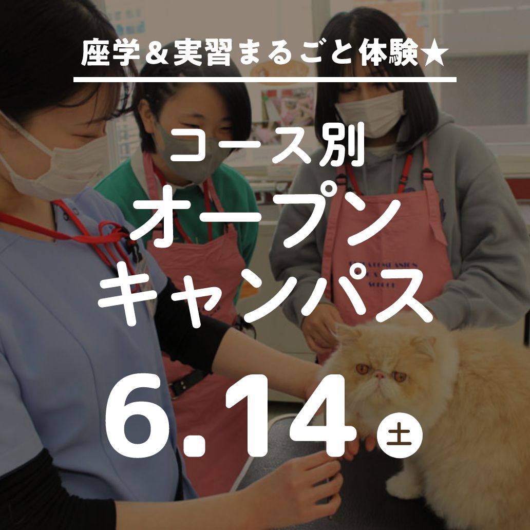 コース別オープンキャンパス ～座学＆実習まるごと体験～