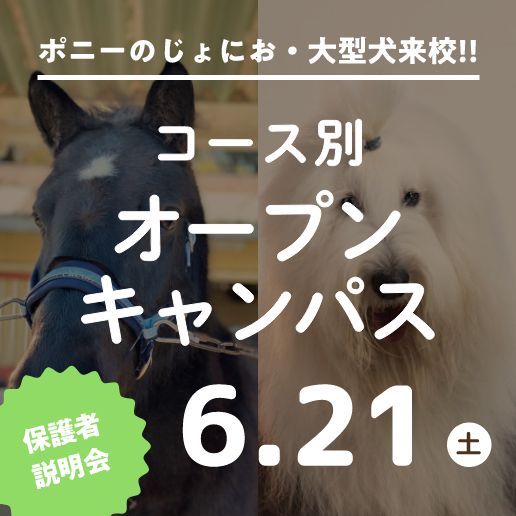 コース別オープンキャンパス