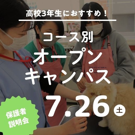 コース別オープンキャンパス～保護者説明会～