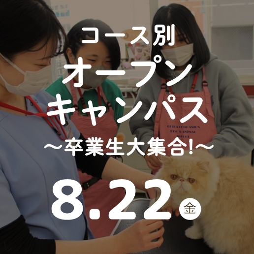 コース別オープンキャンパス～保護者説明会～