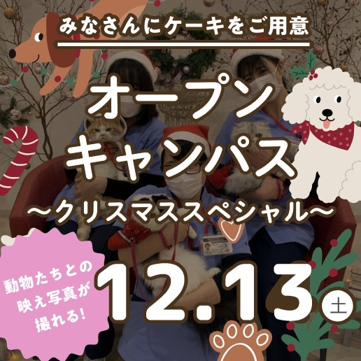 オープンキャンパス～クリスマススペシャル～