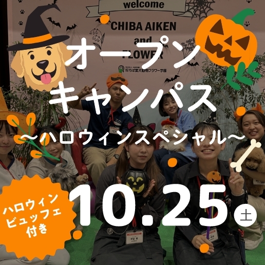 オープンキャンパス～ハロウィンスペシャル～