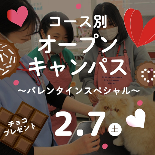コース別オープンキャンパス～バレンタインスペシャル～