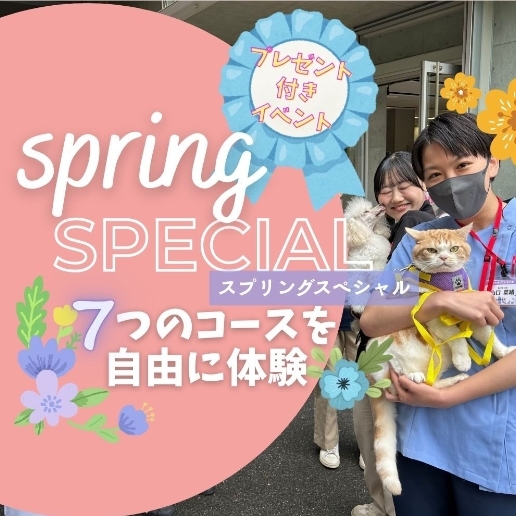 オープンキャンパス～スプリングスペシャル～