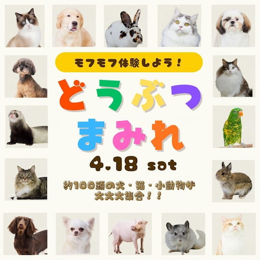 オープンキャンパス