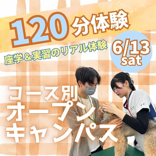 6/13（土）コース別オープンキャンパス 座学＆実習のリアル体験 120体験