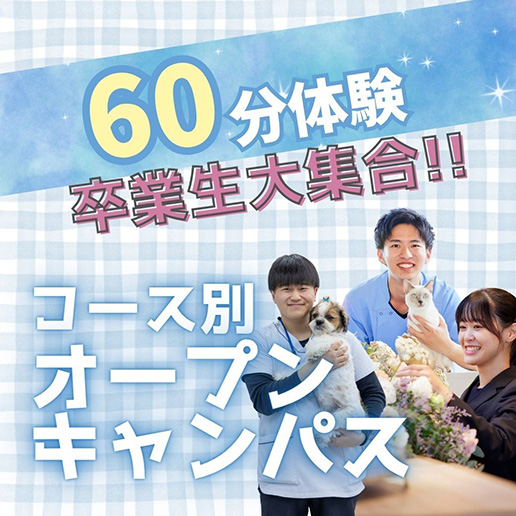 8/21（金）コース別オープンキャンパス