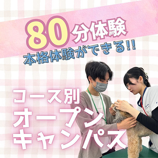 8/29（土） コース別オープンキャンパス