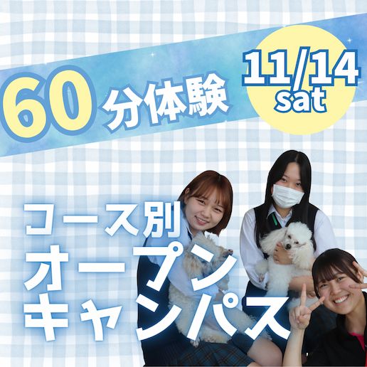 11/14(土)オープンキャンパス