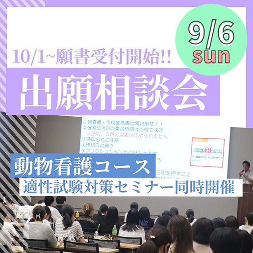 9/6(日)出願相談会