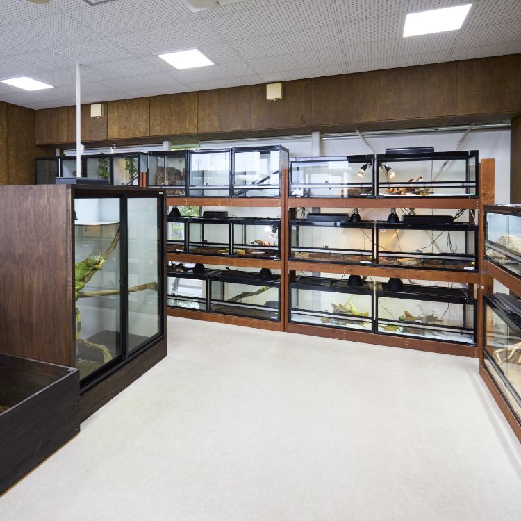 レプタイルズ(爬虫類ルーム)