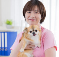 愛玩動物看護師の資格は通信で取れる？取得方法を紹介