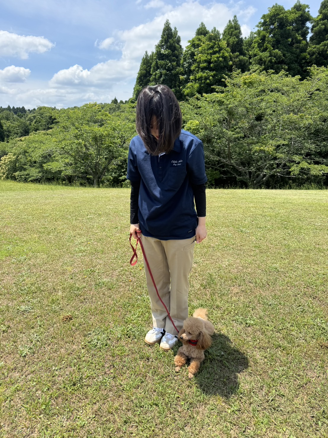 ドッグトレーナー日記】～ふせ(伏臥)編～ | ちば愛犬動物フラワー学園