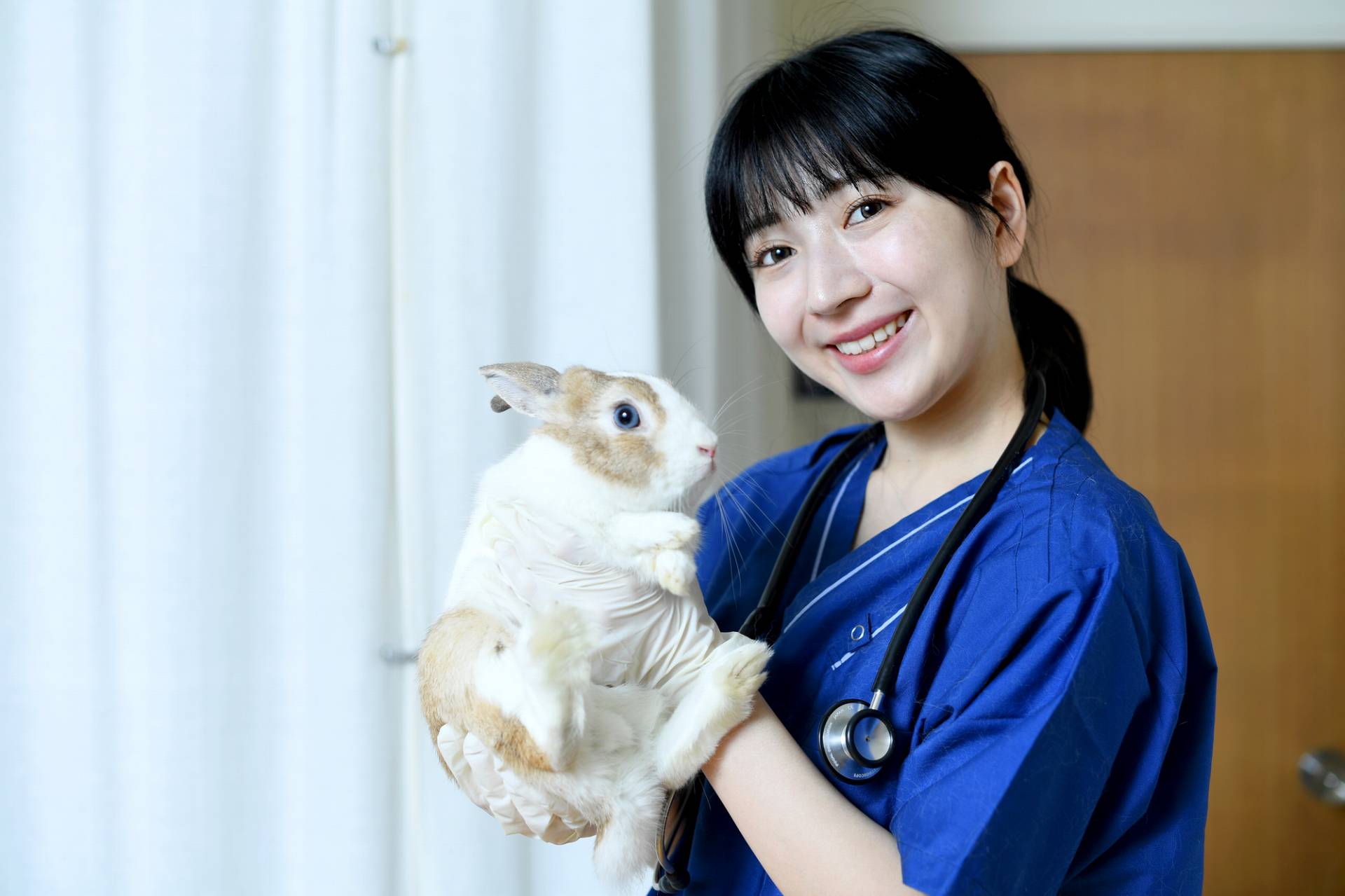 愛玩動物看護師を目指すなら
