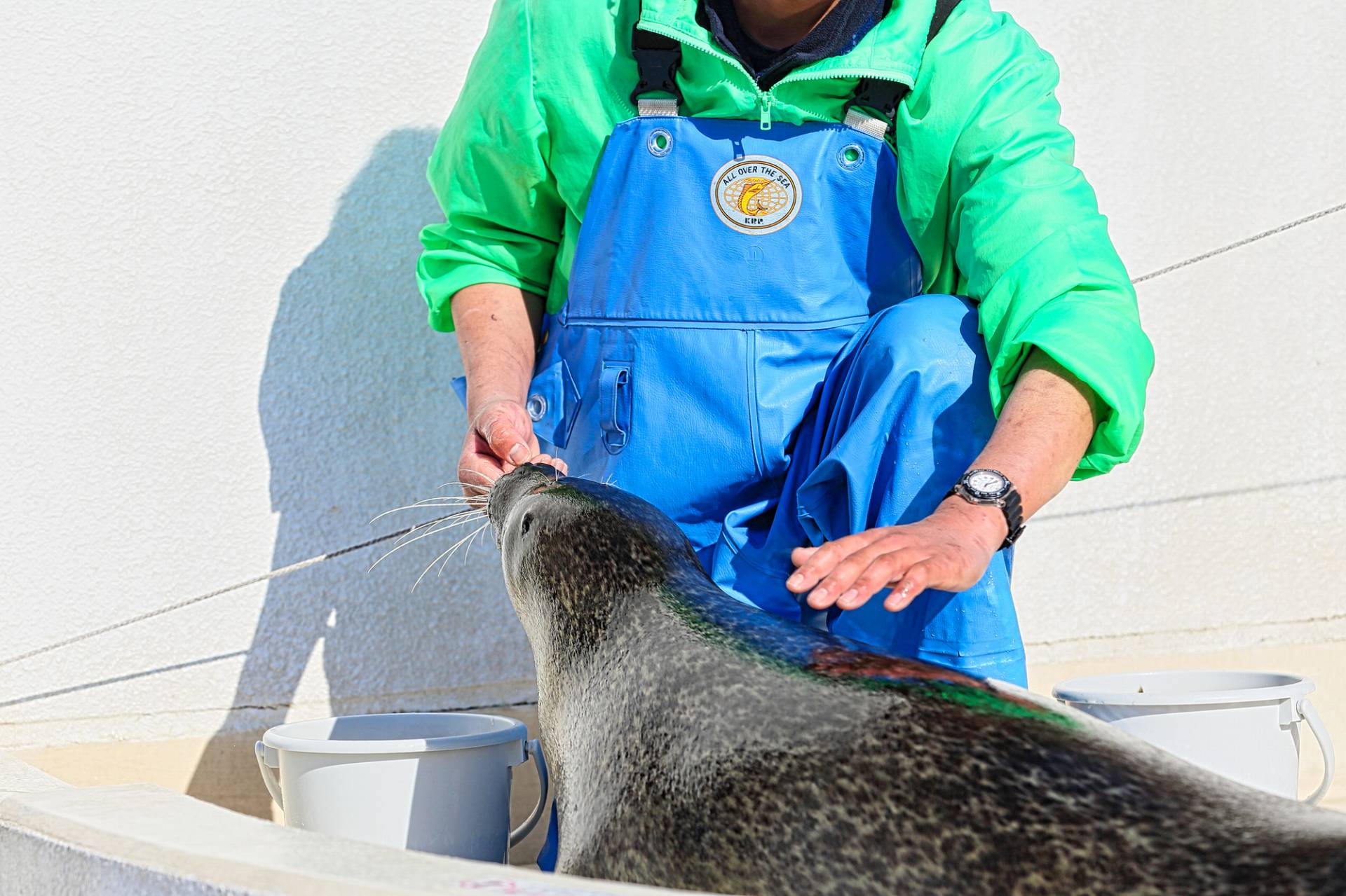 水族館飼育員に向いている人の特徴