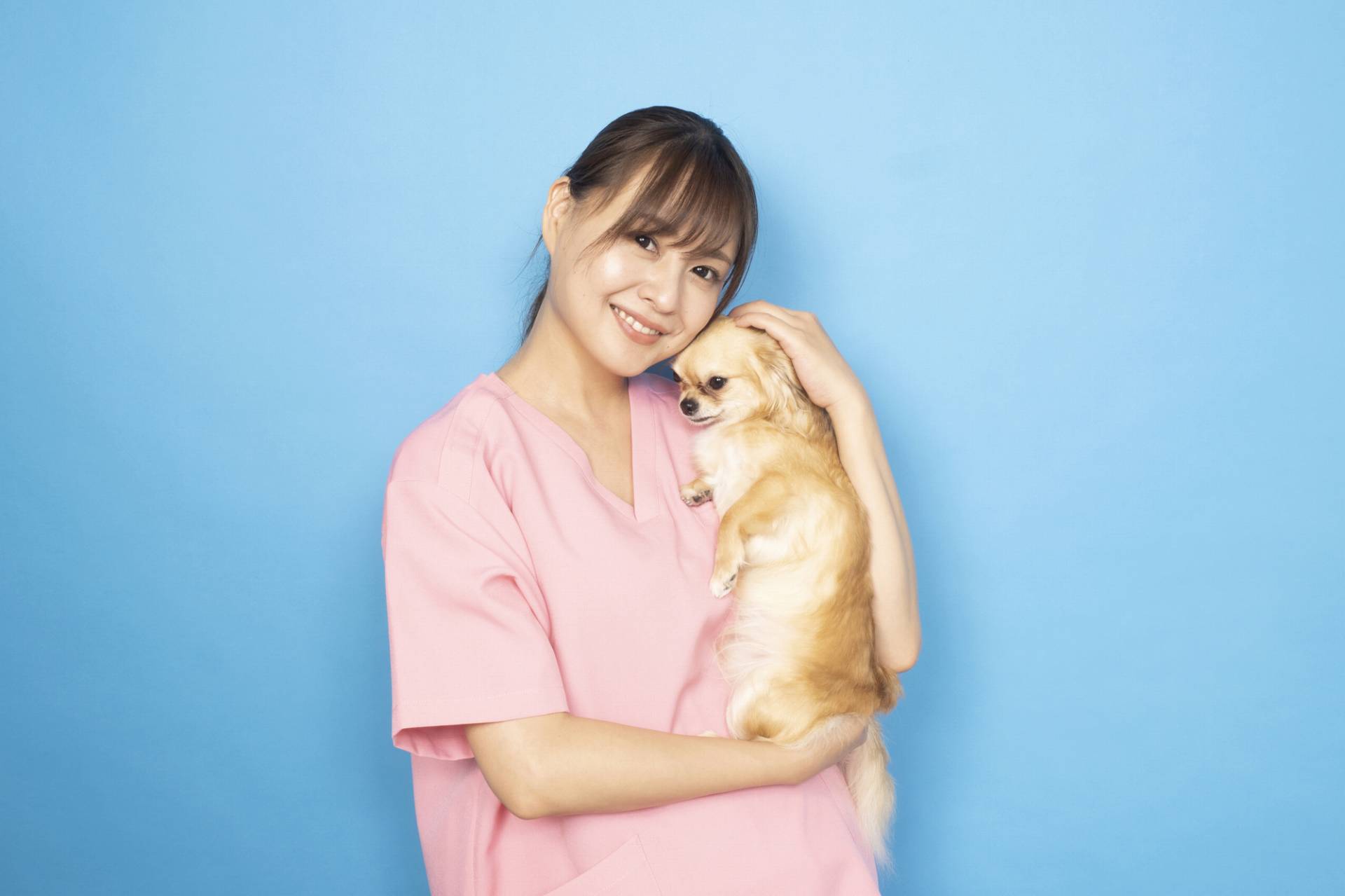 愛玩動物看護師の資格を取得するなら
