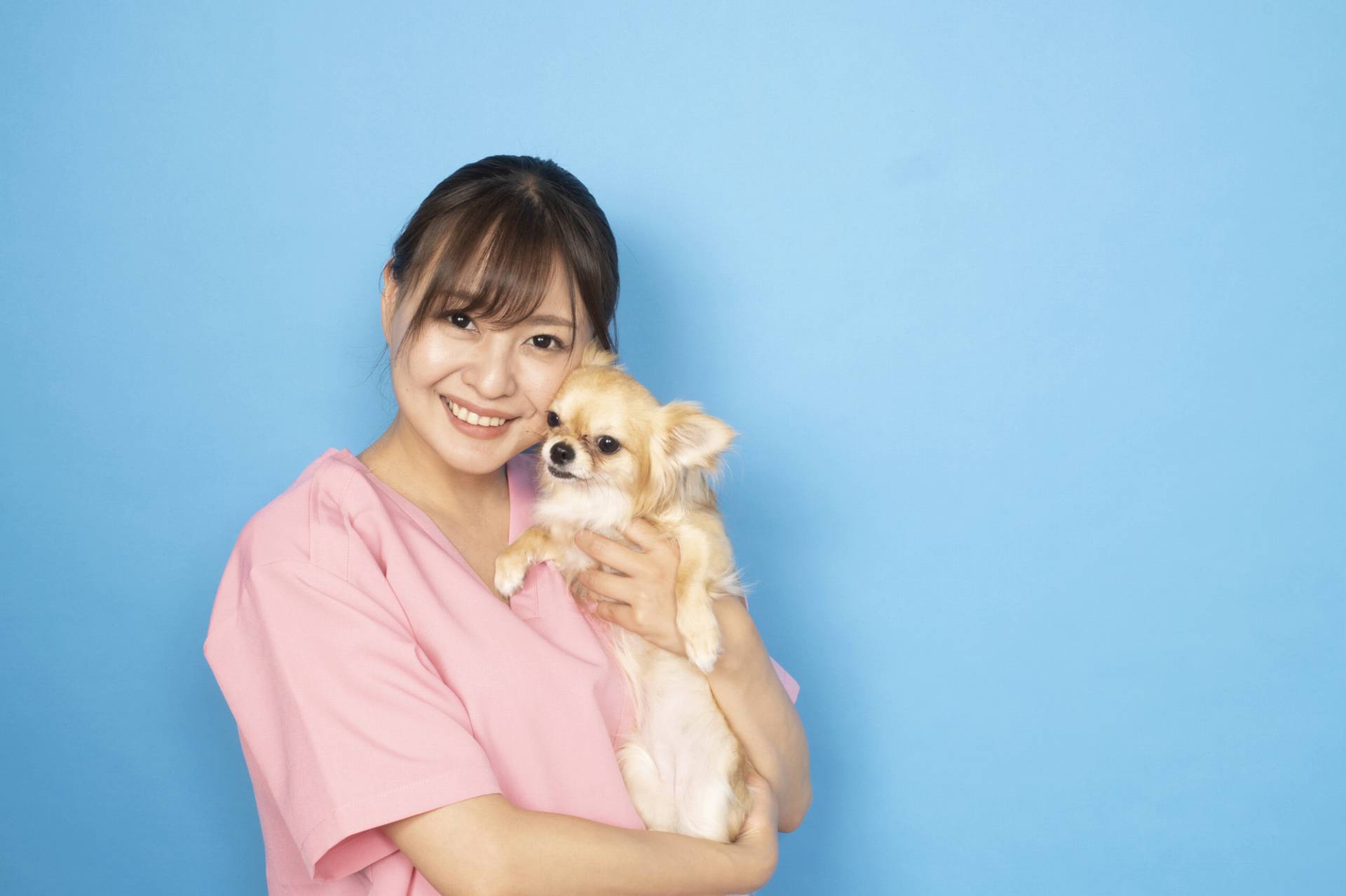 愛玩動物看護師と動物看護師の違いを解説！業務範囲など
