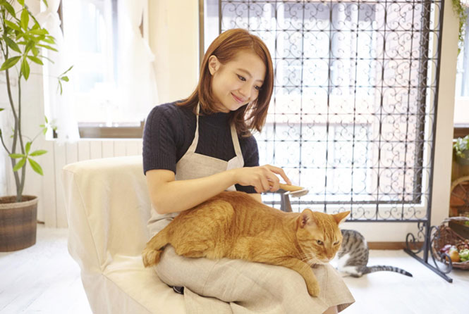 動物カフェスタッフの仕事に興味がある方へ