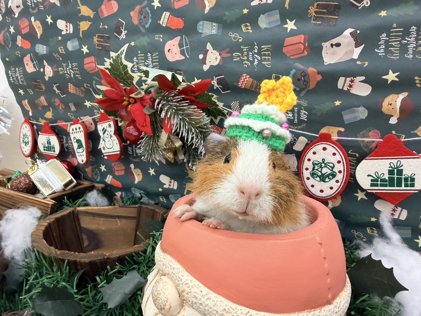 オープンキャンパス～🎅クリスマススペシャル🎄～を開催しました