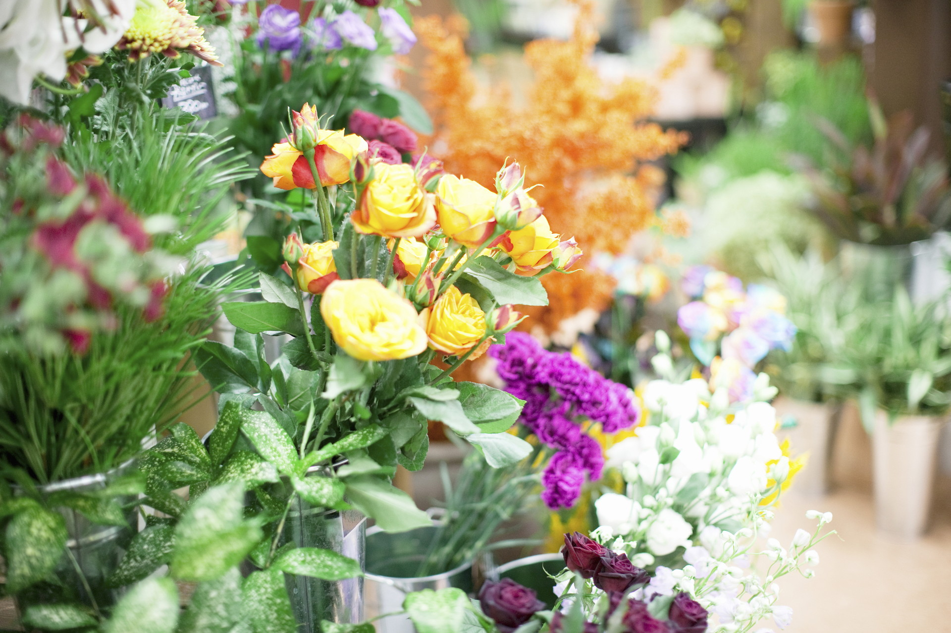 花に関わる仕事をするには？ 