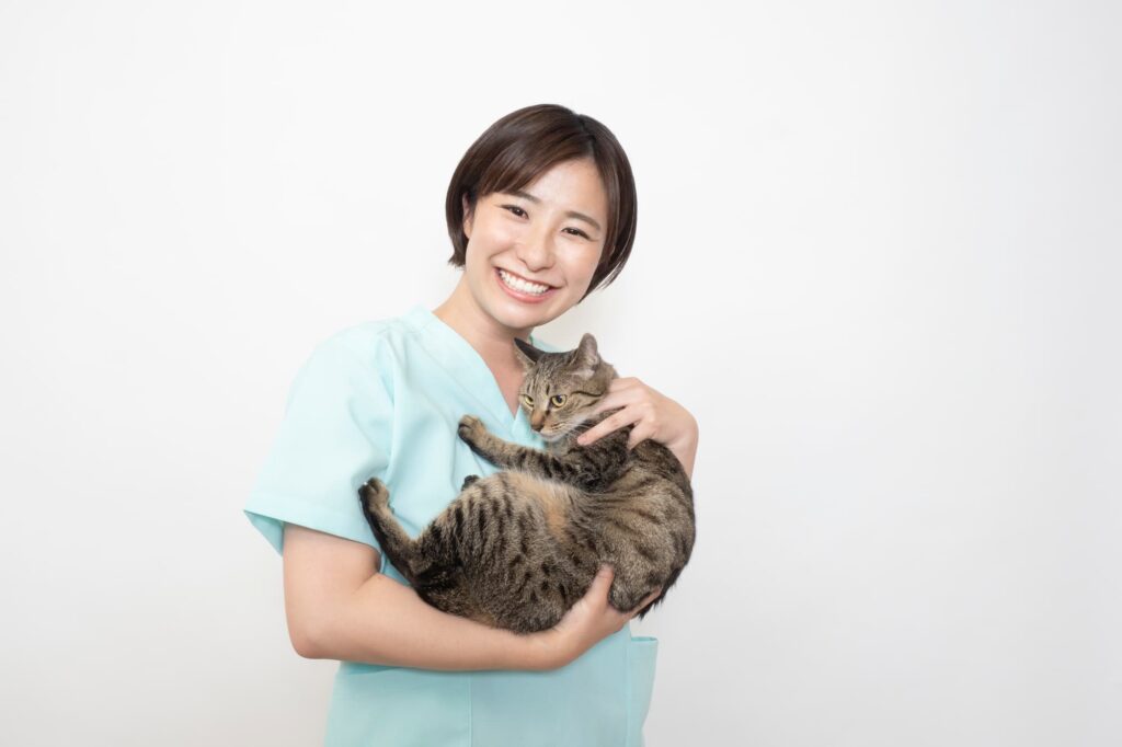 キャットマイスターとは？資格概要・合格率や活かせる仕事など