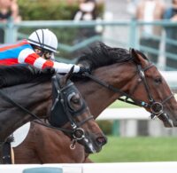 中央競馬と地方競馬の違いをわかりやすく解説